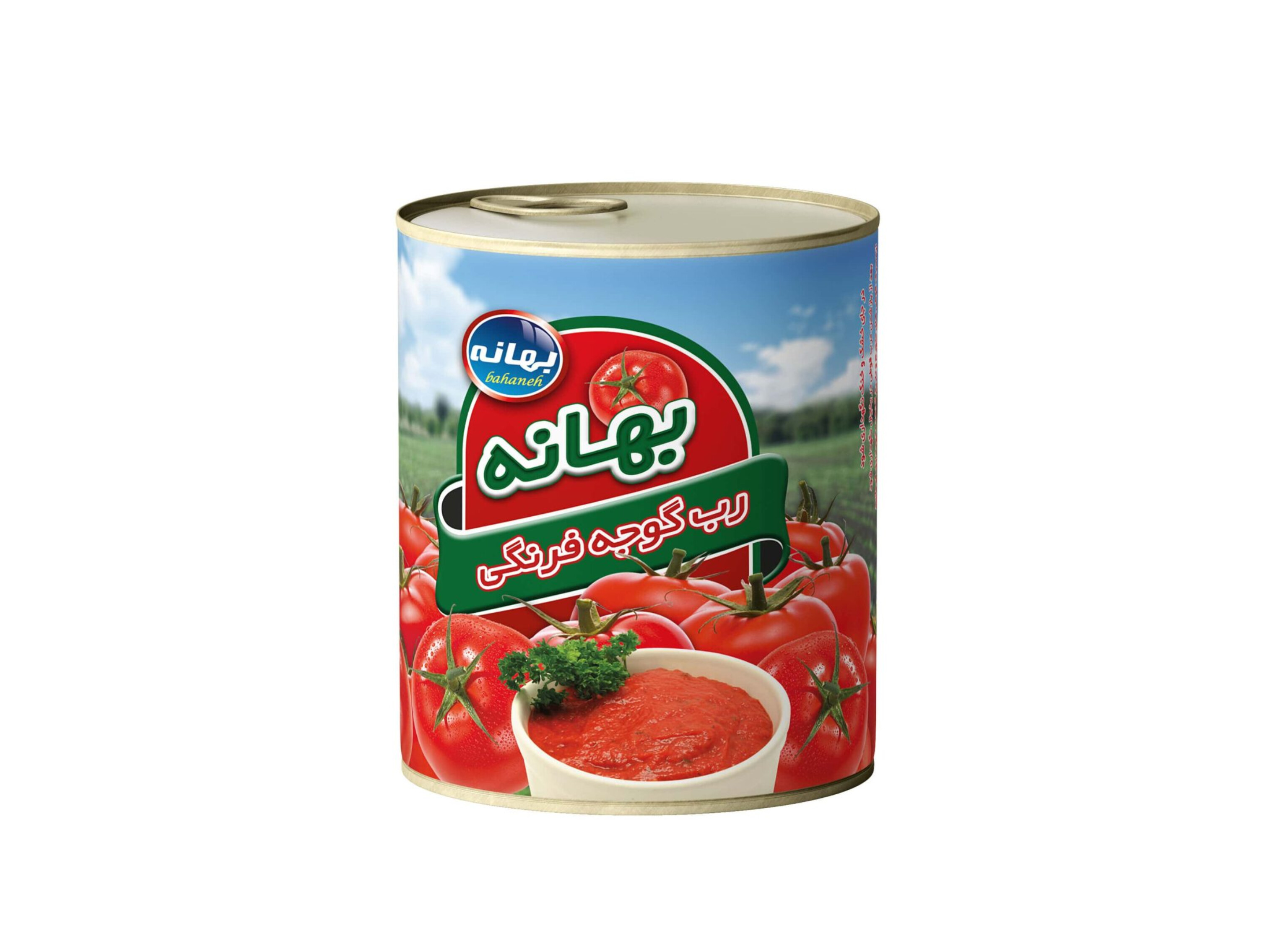 صادرات رب گوجه‌ فرنگی بهانه از تامین‌ کننده معتبر