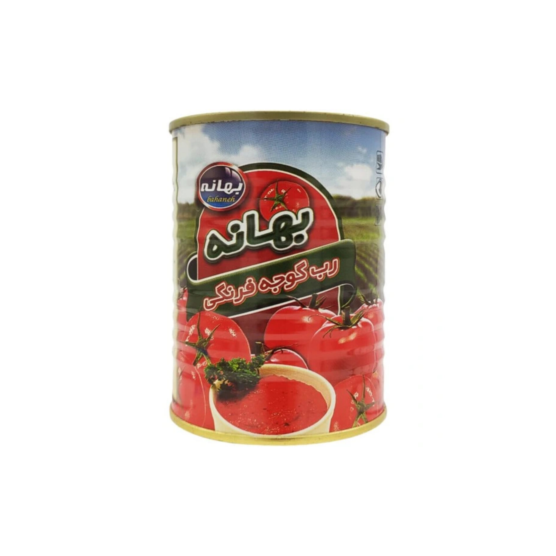 خرید عمده رب گوجه فرنگی بهانه با قیمت کارخانه