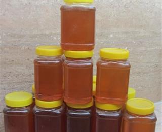 تصویر 1 از خرید وقیمت عسل کنار هانیوا + فروش عمده