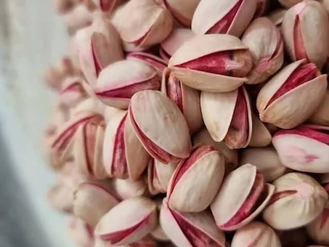 تصویر 4 از پسته احمد آقایی لب ماتیکی مناسب برای پذیرایی و صادرات