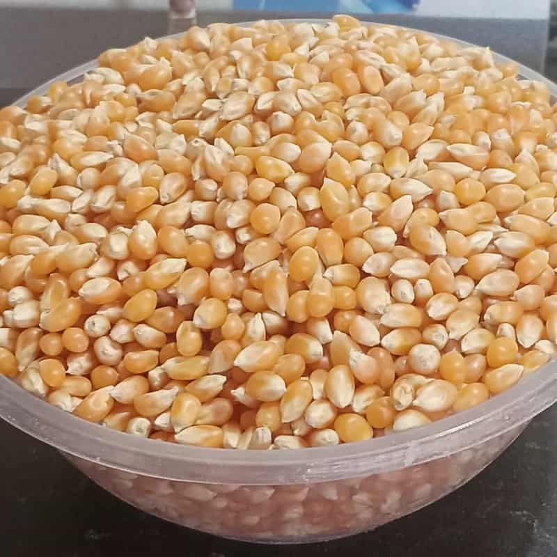 تصویر 2 از کنسرو ذرت خشک تهیه شده از ذرت تازه