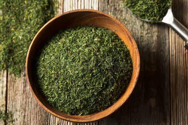 شوید خشک کوهی تهیه شده از گیاهان کوهستانی