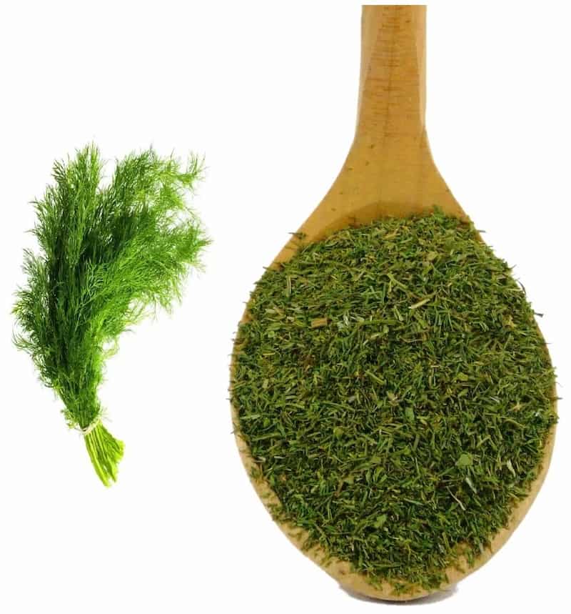تصویر 3 از شوید خشک تازه تهیه شده از برگ های مرغوب