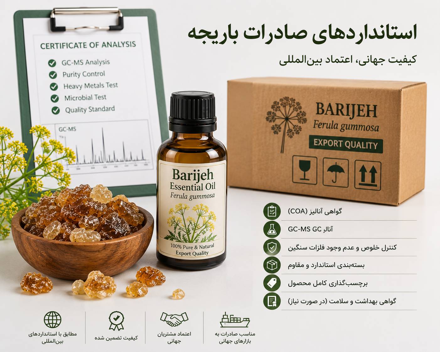 استانداردهای صادرات باریجه
