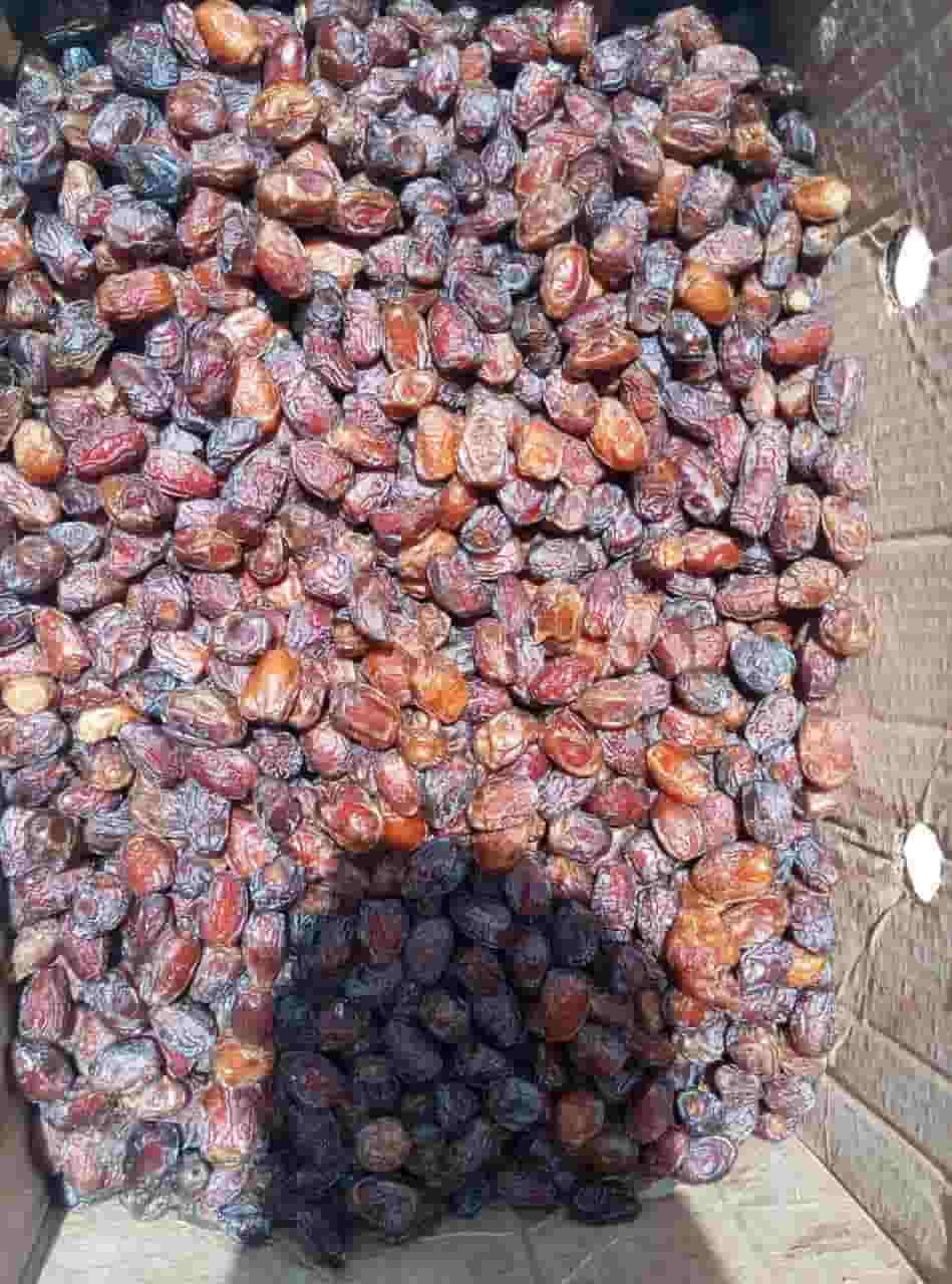 قیمت خرید خرمای بریمی؛ خرمایی خوش‌ طعم با کیفیت صادراتی