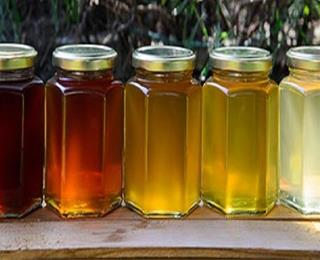تصویر 4 از قیمت خریدعسل کنارهانیوا + فروش ویژه