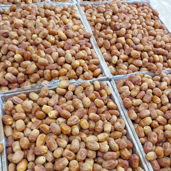 تصویر 2 از خرید خرمای زاهدی بوشهر + قیمت عمده