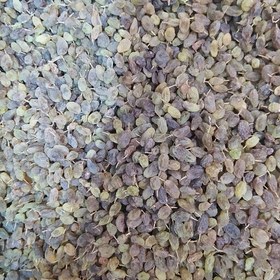 کشمش سبز سایه خشک تهیه شده از انگور مرغوب