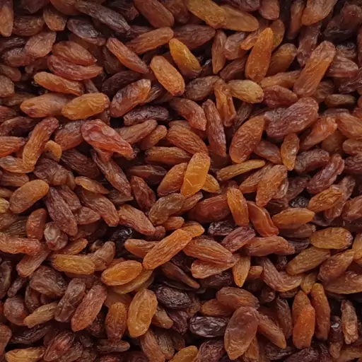 تصویر 3 از کشمش سبز افتابی با رنگ مطلوب و کیفیت بالا