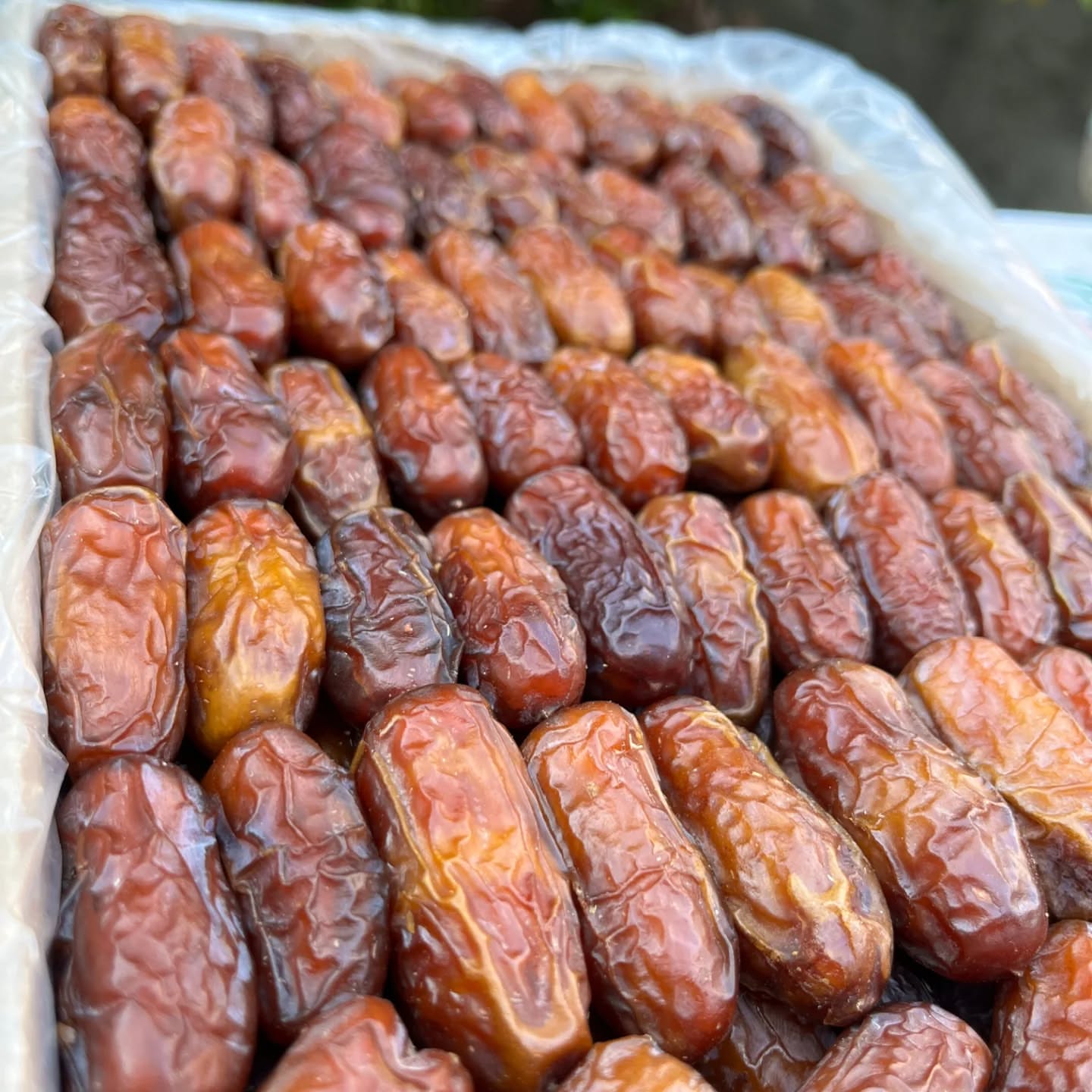 تصویر 1 از خرما پیارم سورت شده درجه یک حاجی آباد