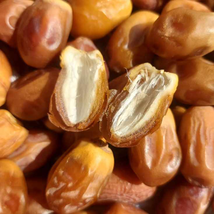 تصویر 2 از خرما زاهدی عمده برای پخش‌ کنندگان ایران + قیمت عمده