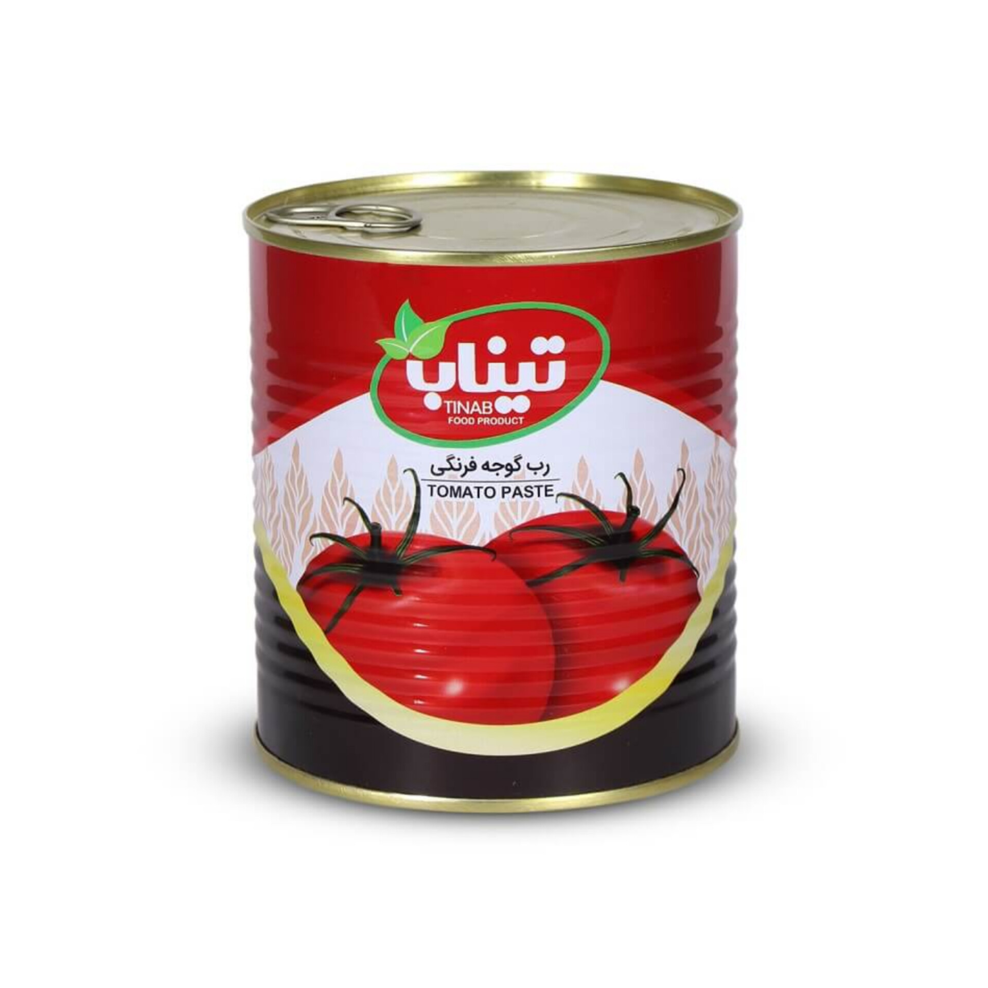 خرید عمده رب گوجه فرنگی تیناب انتخابی مطمئن برای صادرات