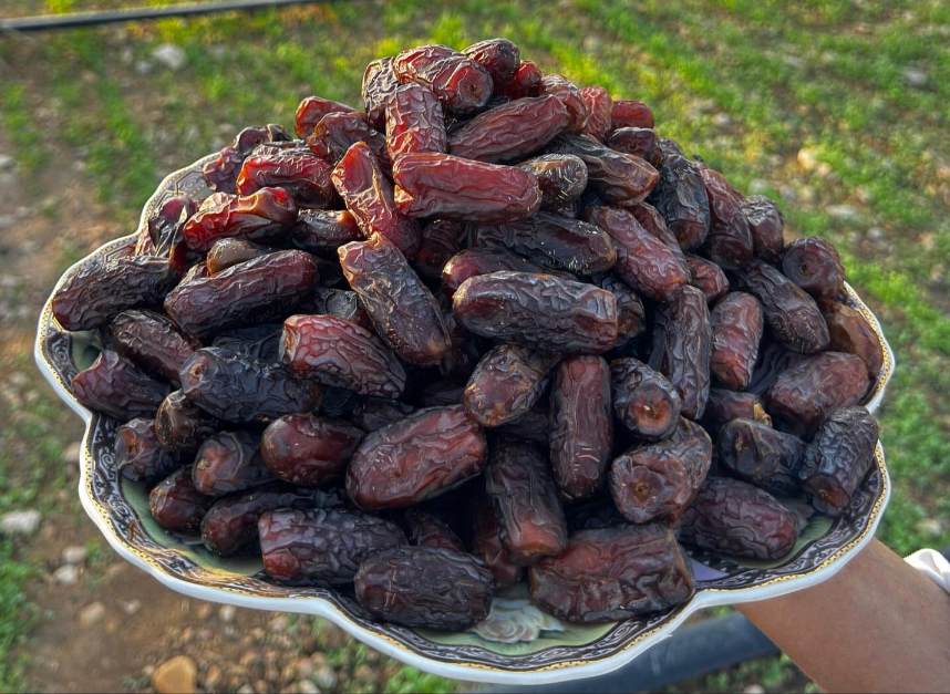 تصویر 4 از خرید خرما پیارم با بسته‌بندی ویژه صادراتی