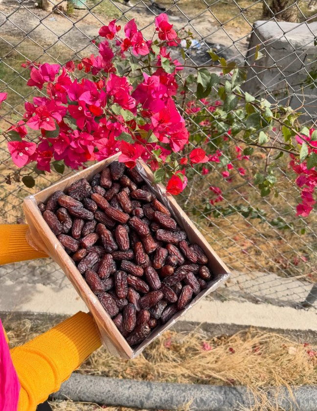 تصویر 1 از خرید خرما پیارم جنوب باکیفیت ممتاز + قیمت عمده