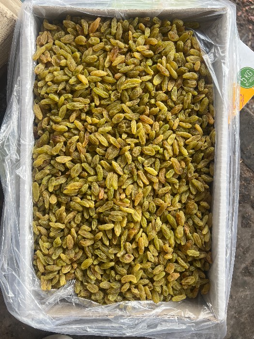 تصویر 4 از کشمش سبز ممتاز با طعم شیرین و کیفیت ماندگار
