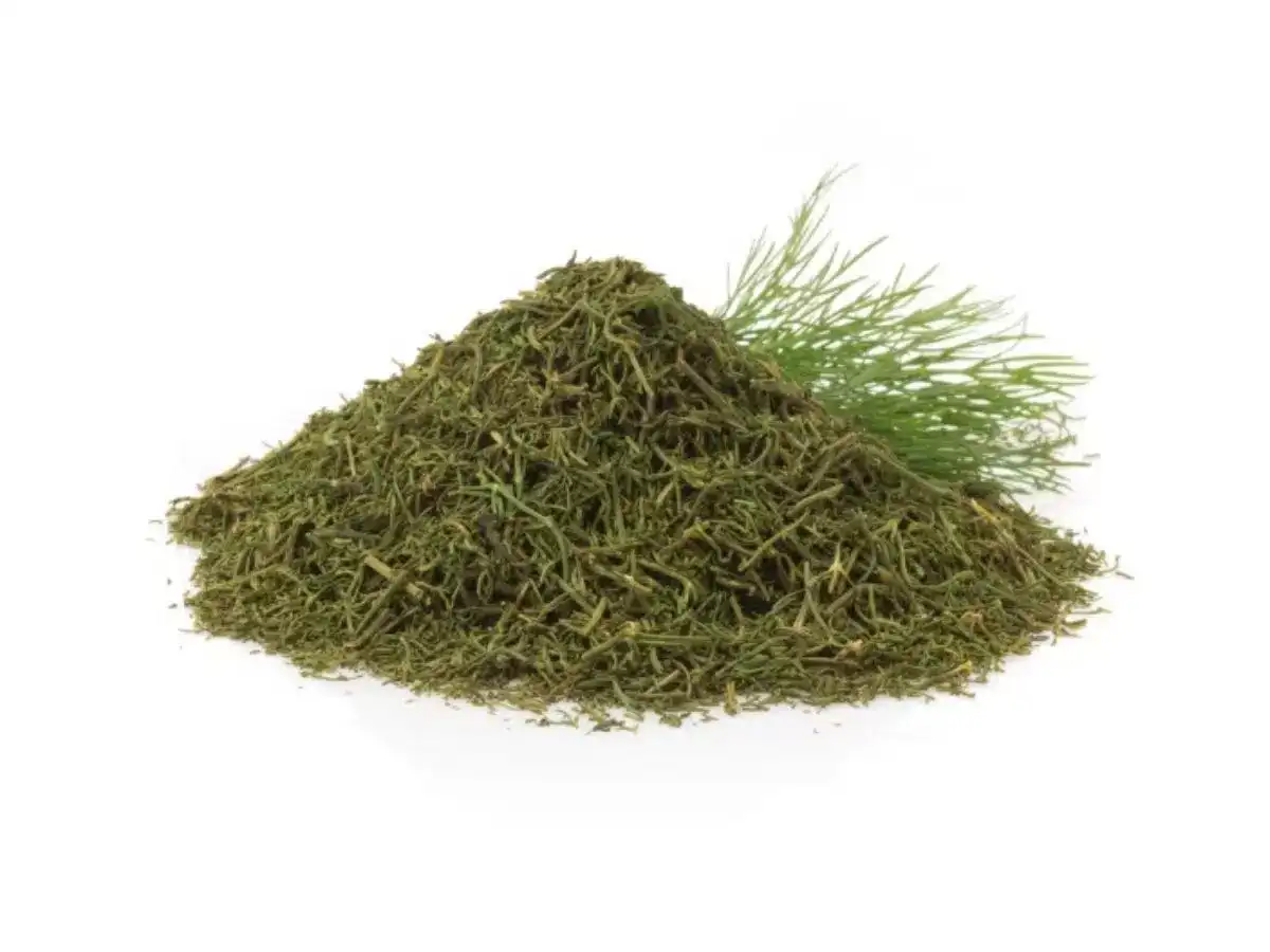 تصویر 2 از شوید خشک شرکتی خالص با فرآوری بهداشتی و استاندارد