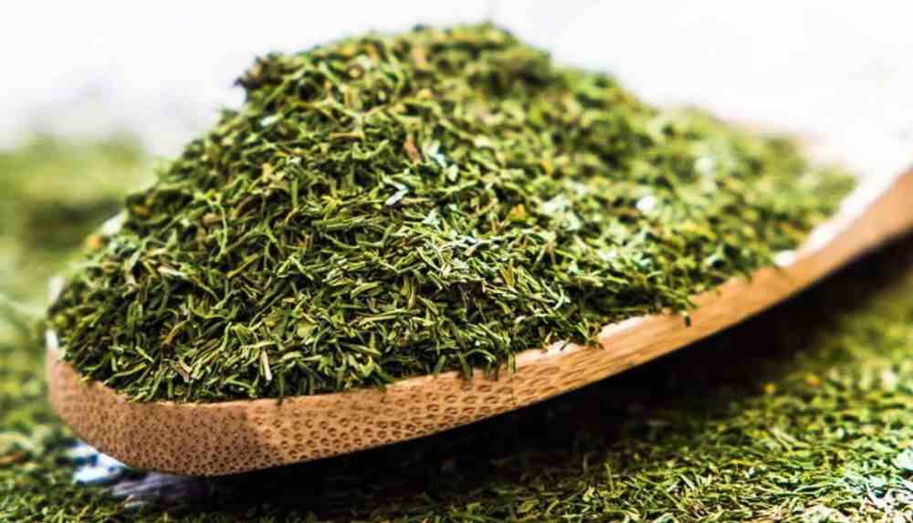 تصویر 4 از شوید خشک شرکتی خالص با فرآوری بهداشتی و استاندارد