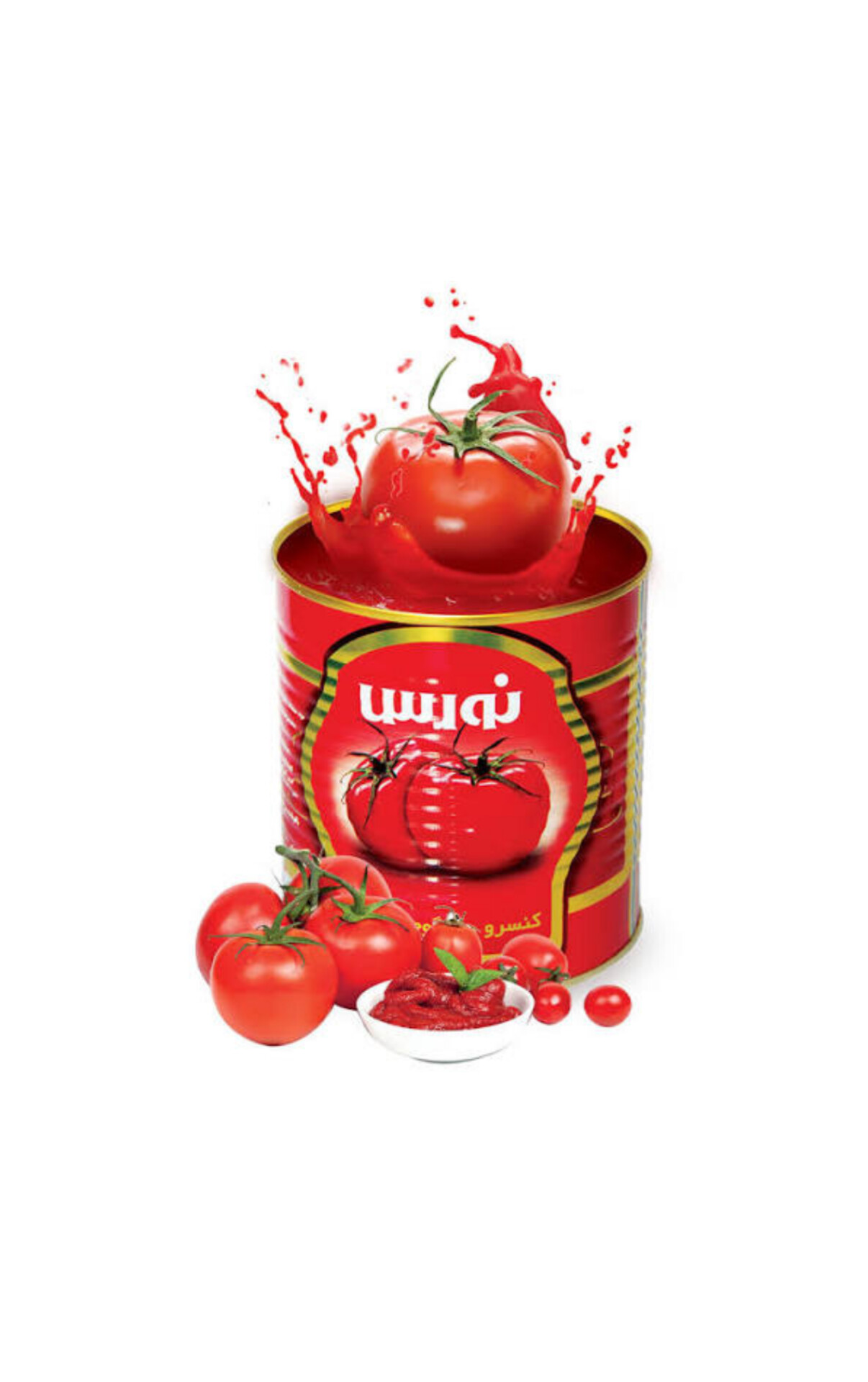 قيمت رب گوجه فرنگی نورس از درب کارخانه خرید عمده