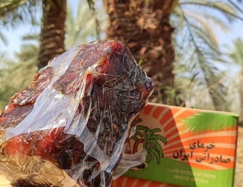 خرما کبکاب اهرم درجه یک مناسب مصرف و خرید عمده