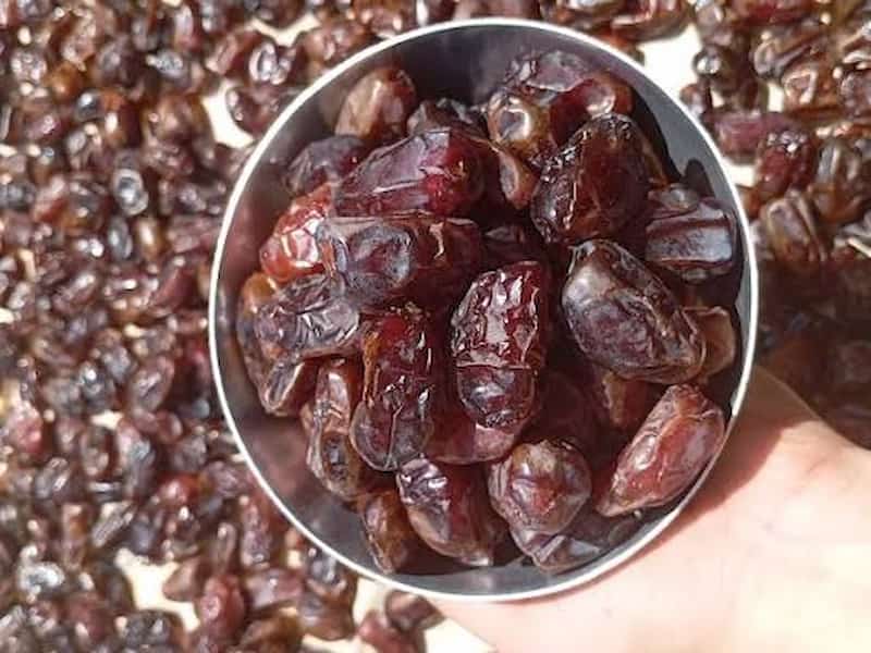 تصویر 2 از خرما کبکاب اصل با طعمی نایاب در کنار فنجان چای