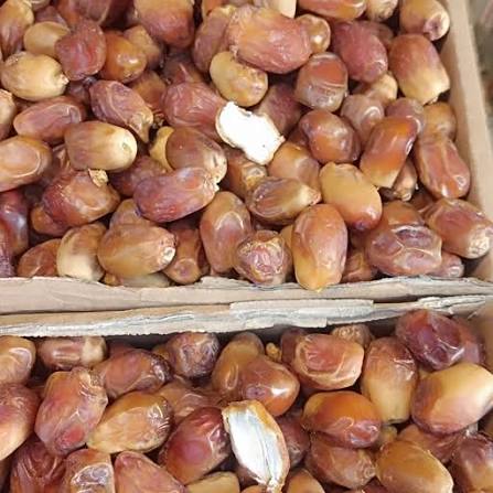 تصویر 2 از خرما زاهدی مشکین با ظاهر یکدست و شیرینی دلپذیر