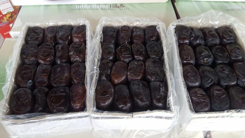 تصویر 3 از خرما مضافتی شهیار انتخابی مطمئن برای عرضه و صادرات