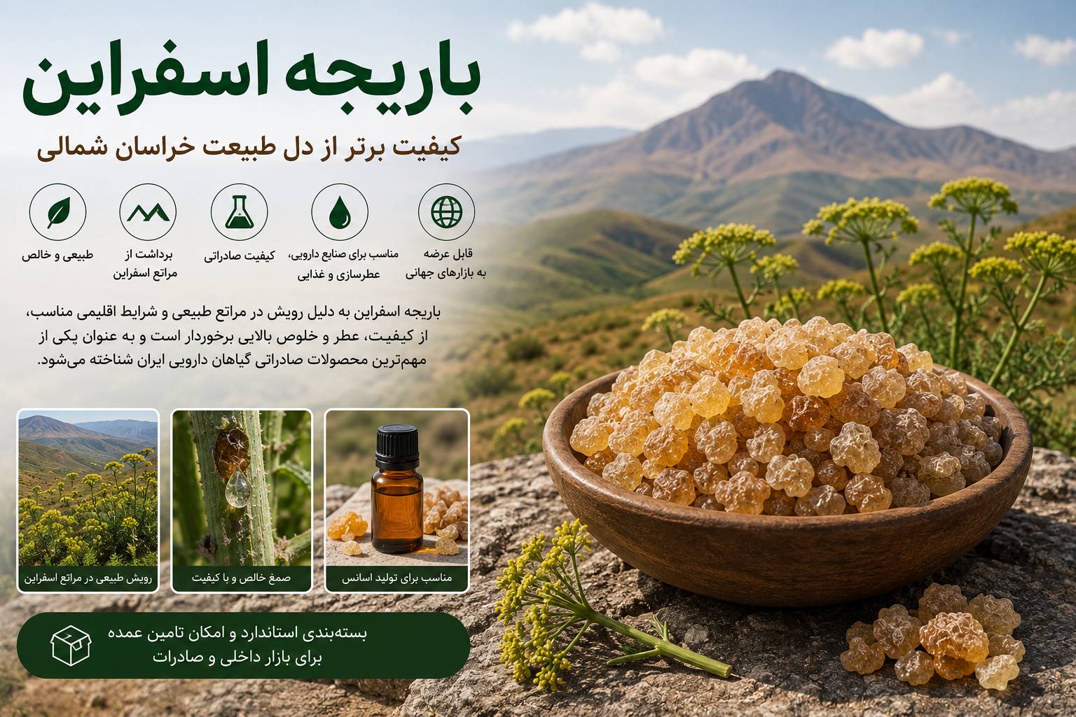 باریجه مرغوب اسفراین ایران