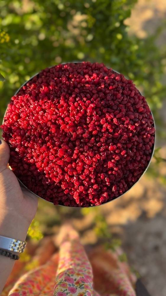 تصویر 2 از زرشک پفکی دانه ای از دل کویر