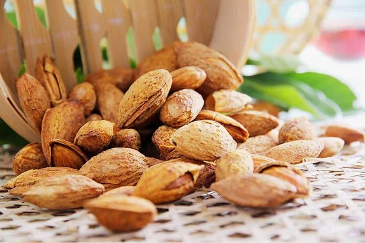 تصویر 1 از بادام سنگی تازه با عطر طبیعی و طعم اصیل باغی