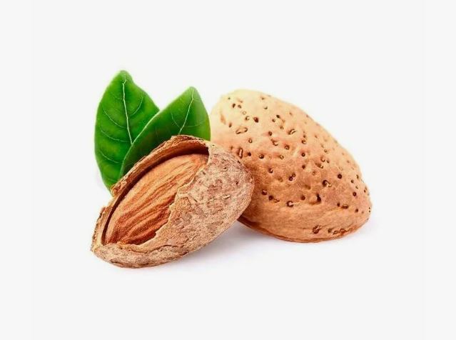 تصویر 4 از بادام سنگی تازه با عطر طبیعی و طعم اصیل باغی