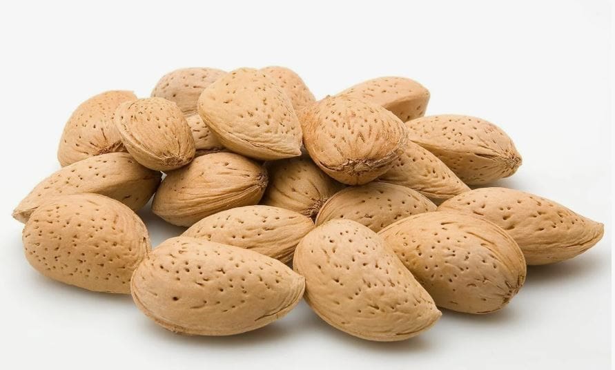 تصویر 3 از بادام سنگی خوشه‌ای با طعم اصیل و تازگی ماندگار