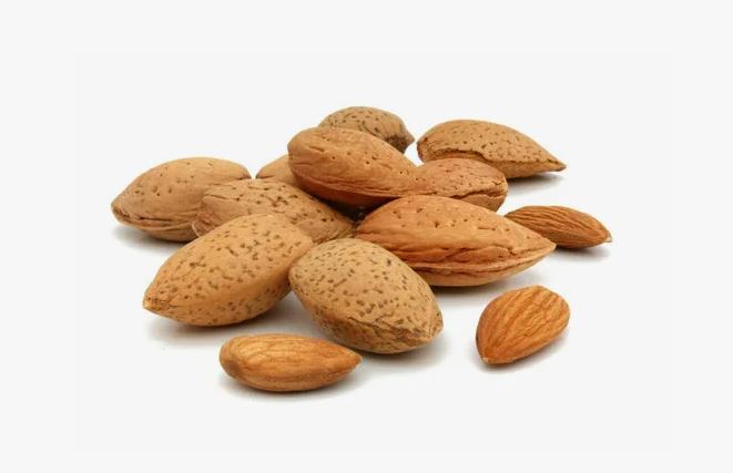 تصویر 4 از بادام سنگی خوشه‌ای با طعم اصیل و تازگی ماندگار