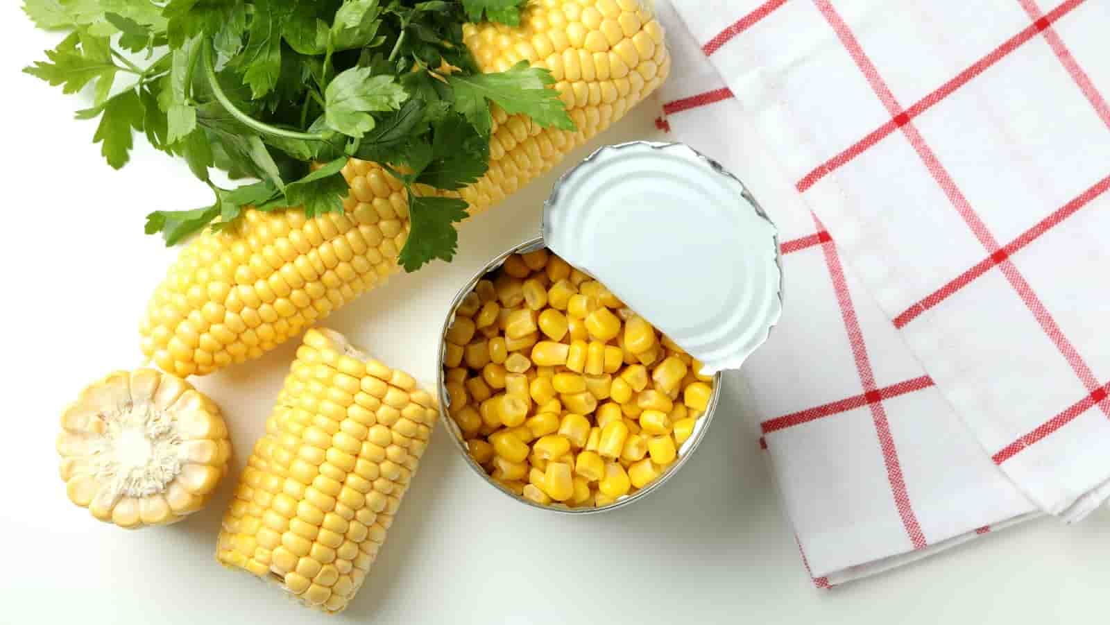 تصویر 3 از کنسرو ذرت سمیه با طعم طبیعی برای پیش غذا ها