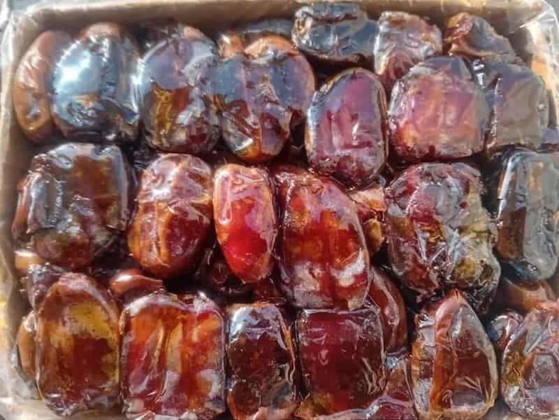 تصویر 4 از خرما کبکاب دشتستان با شهد فراوان و طعم بی نظیر سنتی