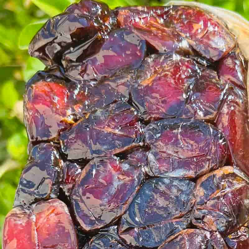 تصویر 3 از خرما کبکاب تاپو با ماندگاری بالا و طعم فوق العاده خاطره انگیز
