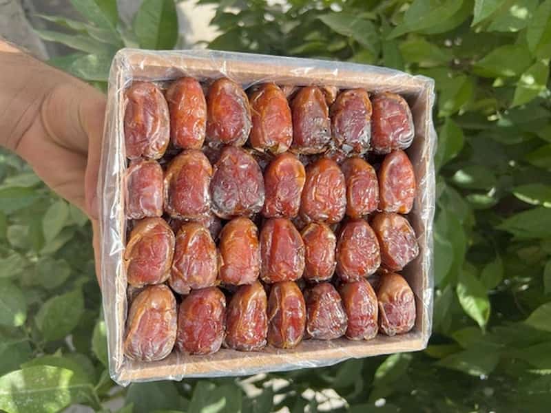 تصویر 1 از خرما کبکاب تلسکوپی با ماندگاری بسیار ایده آل و پرشهد