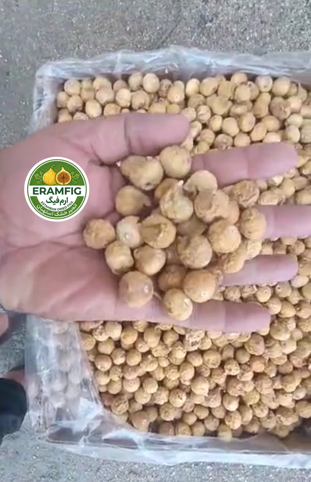 انجیر خشک