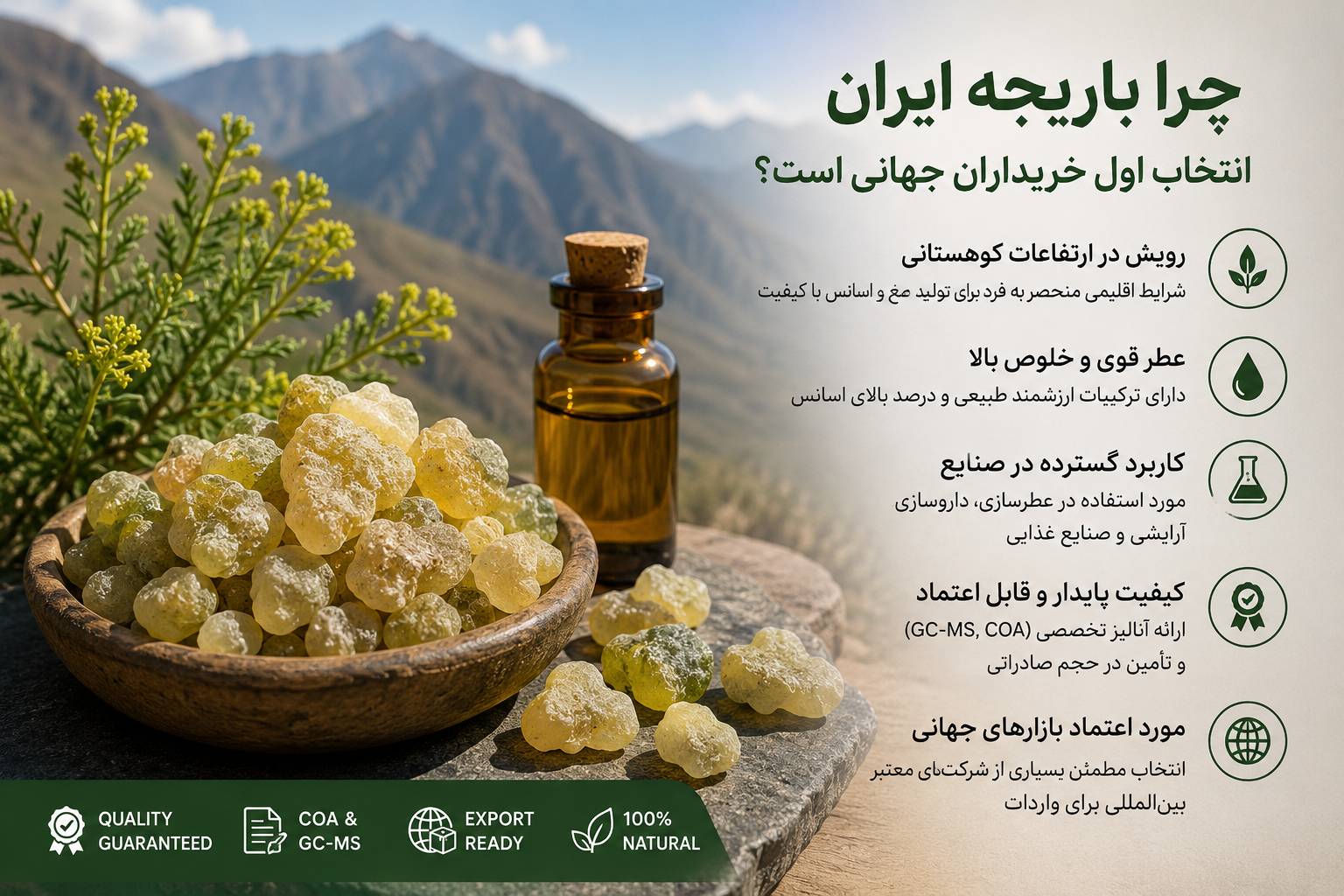 مزایای صادراتی باریجه ایران