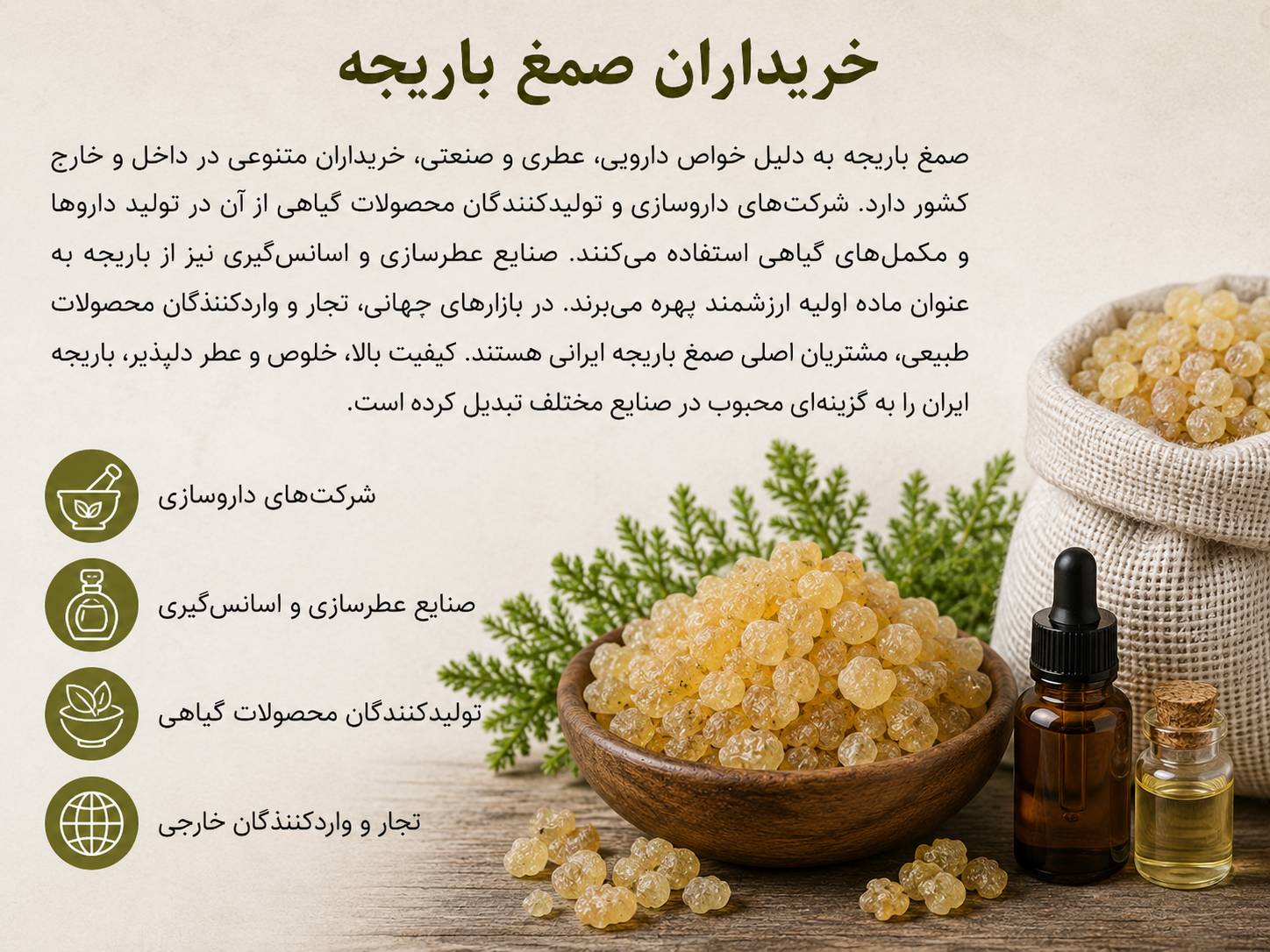 خریداران صمغ باریجه ایران