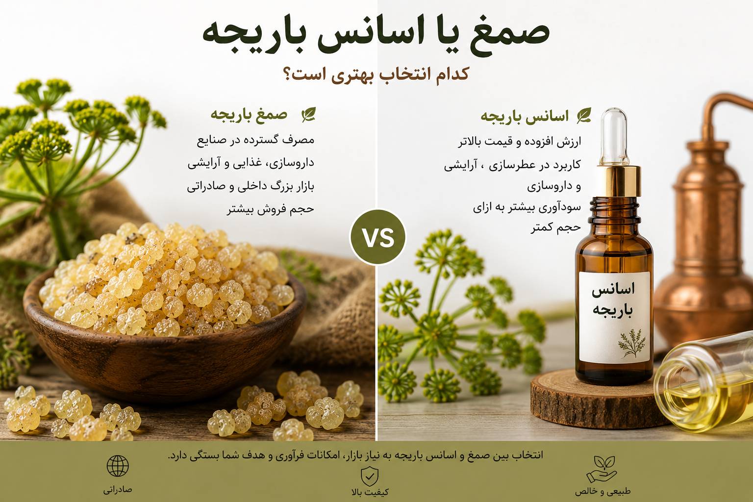 صمغ یا اسانس باریجه