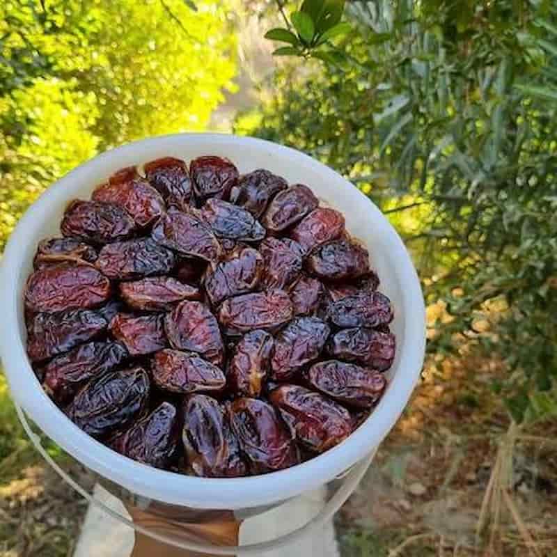 تصویر 2 از خرما کبکاب همای جم با کیفیتی بی نظیر در بسته بندی های شکیل