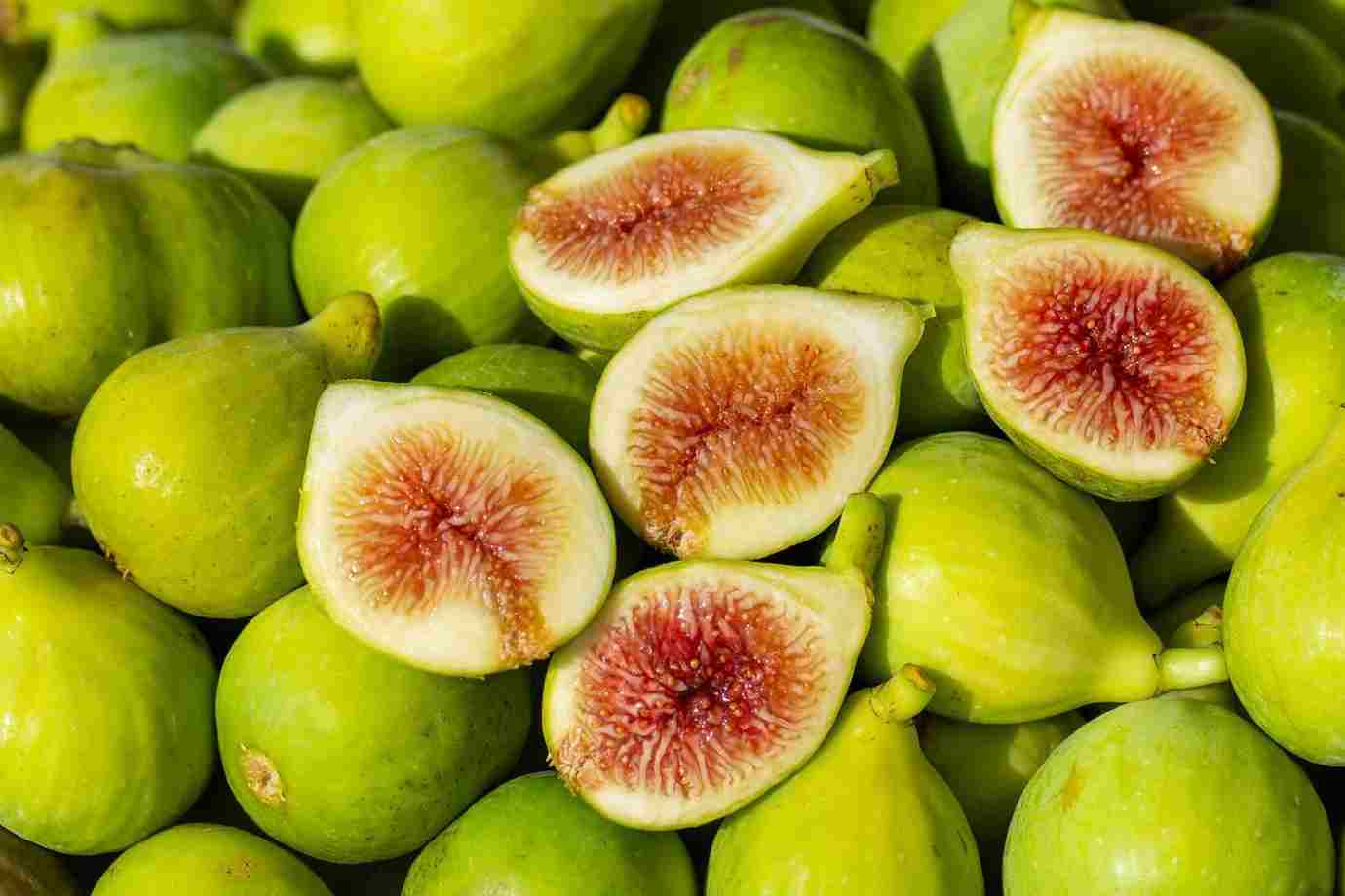 فروش انجیر شمال