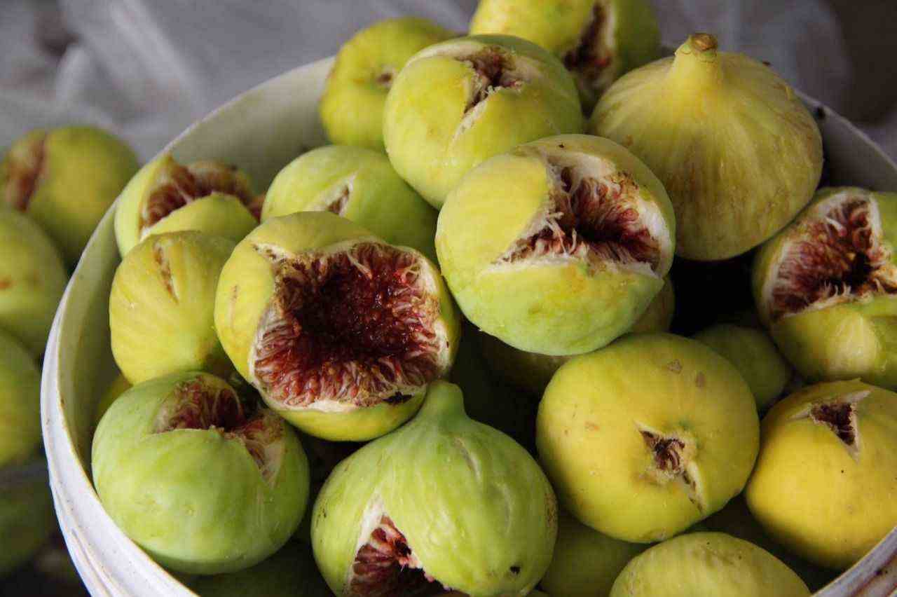 انجیر شمال ایران با ظاهر زیبا و ماندگاری مناسب