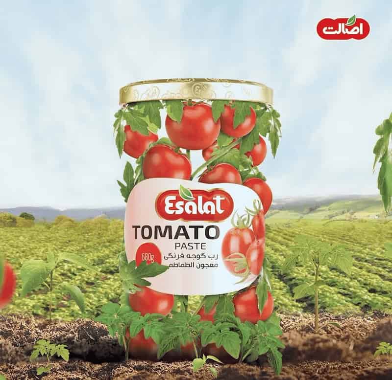 تصویر 2 از رب گوجه فرنگی اصالت با طعم مطلوب و رنگ طبیعی گوجه