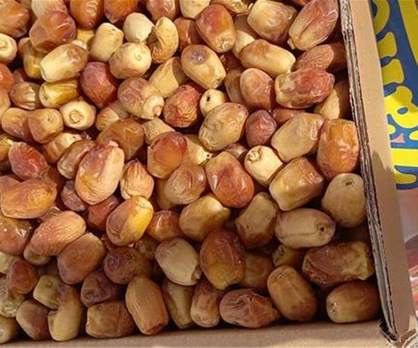 خرما زاهدی مشکین با کیفیت یکنواخت برای مصرف روزانه و عمده
