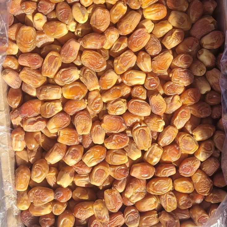 تصویر 2 از فروش بدون واسطه خرما زاهدی + قیمت عمده