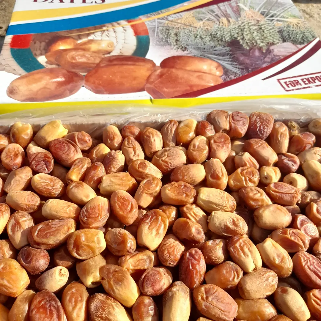 تصویر 4 از خرید خرما زاهدی بسته بندی شده + فروش ویژه