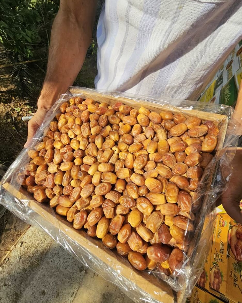 تصویر 4 از صادرات خرما زاهدی به کشورهای مختلف