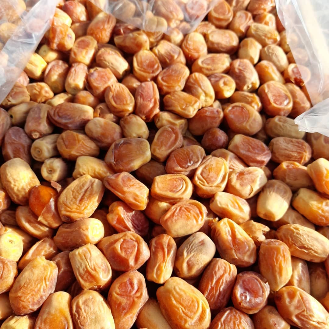 بهترین تأمین‌کننده خرما زاهدی + قیمت عمده