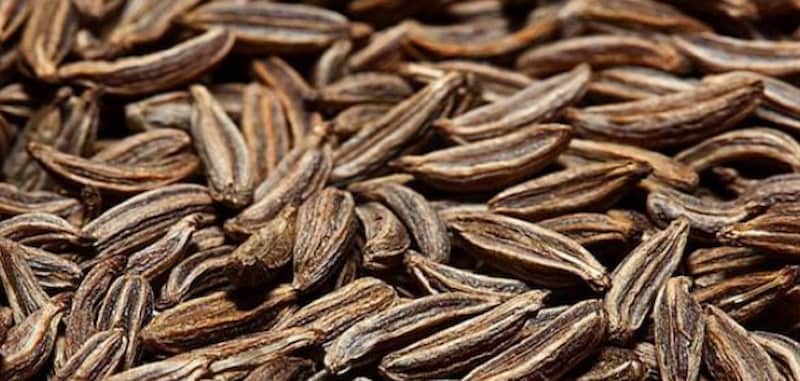 تصویر 1 از زیره سیاه کوهی با طعمی اصیل و ارگانیک